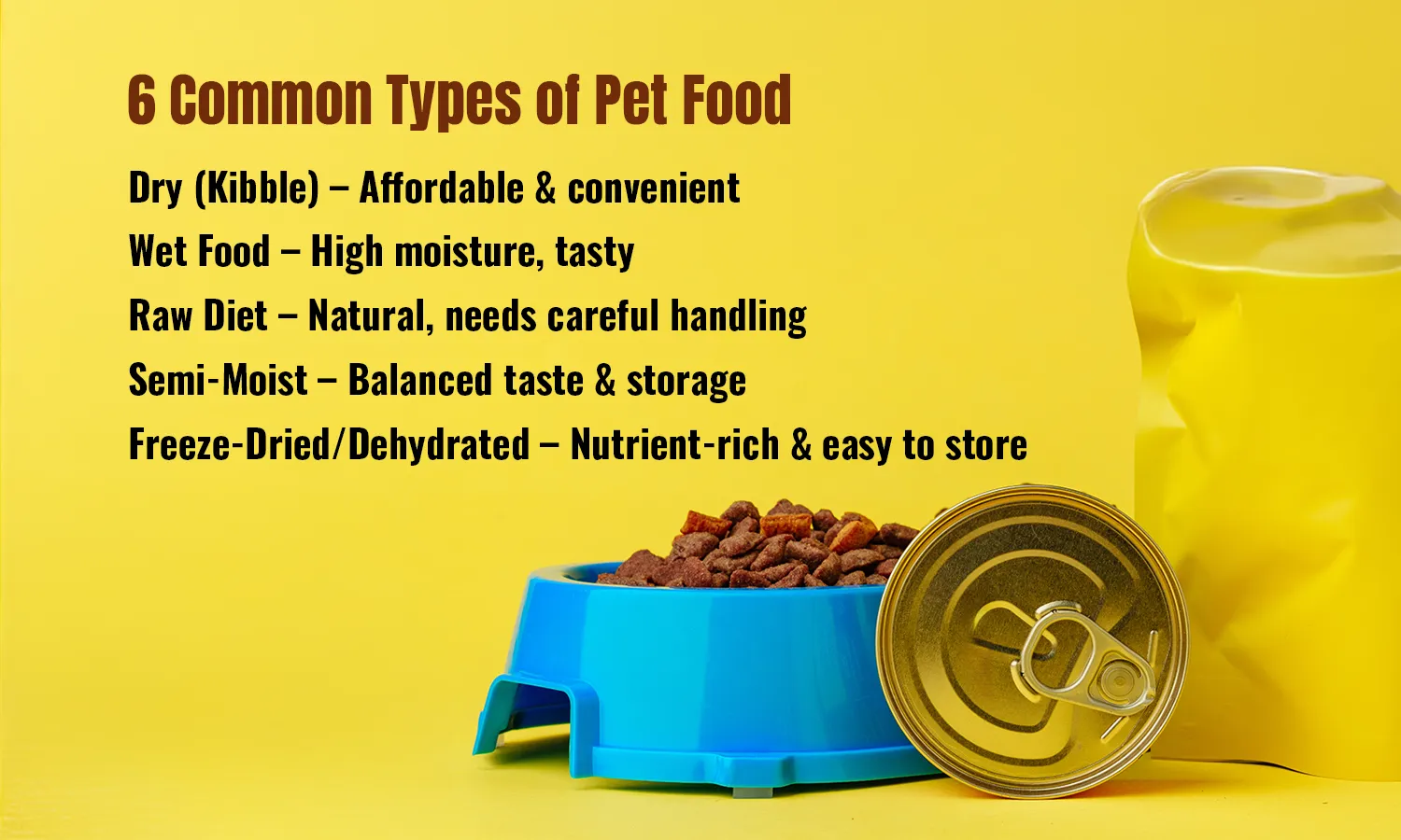 Best Dog Food for Sensitive Stomach: Why Fresh Is the Real Solution