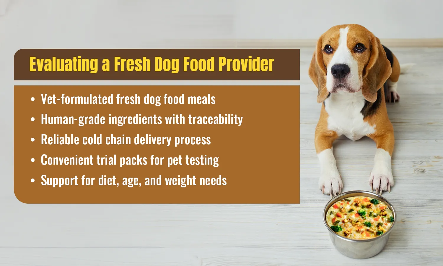 Evaluating a Fresh Dog Food Provider