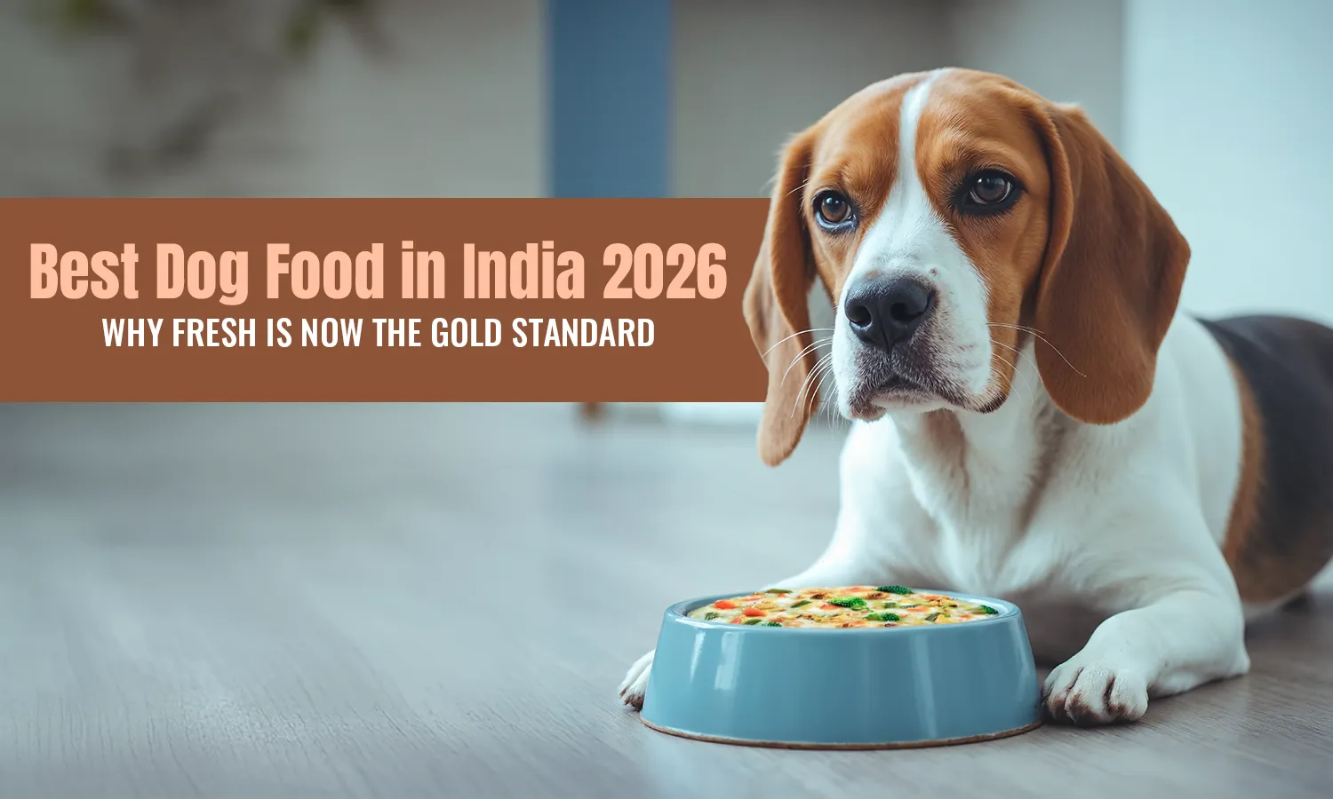Best Dog Food in India 2026: Why Fresh Is Now the Gold Standard