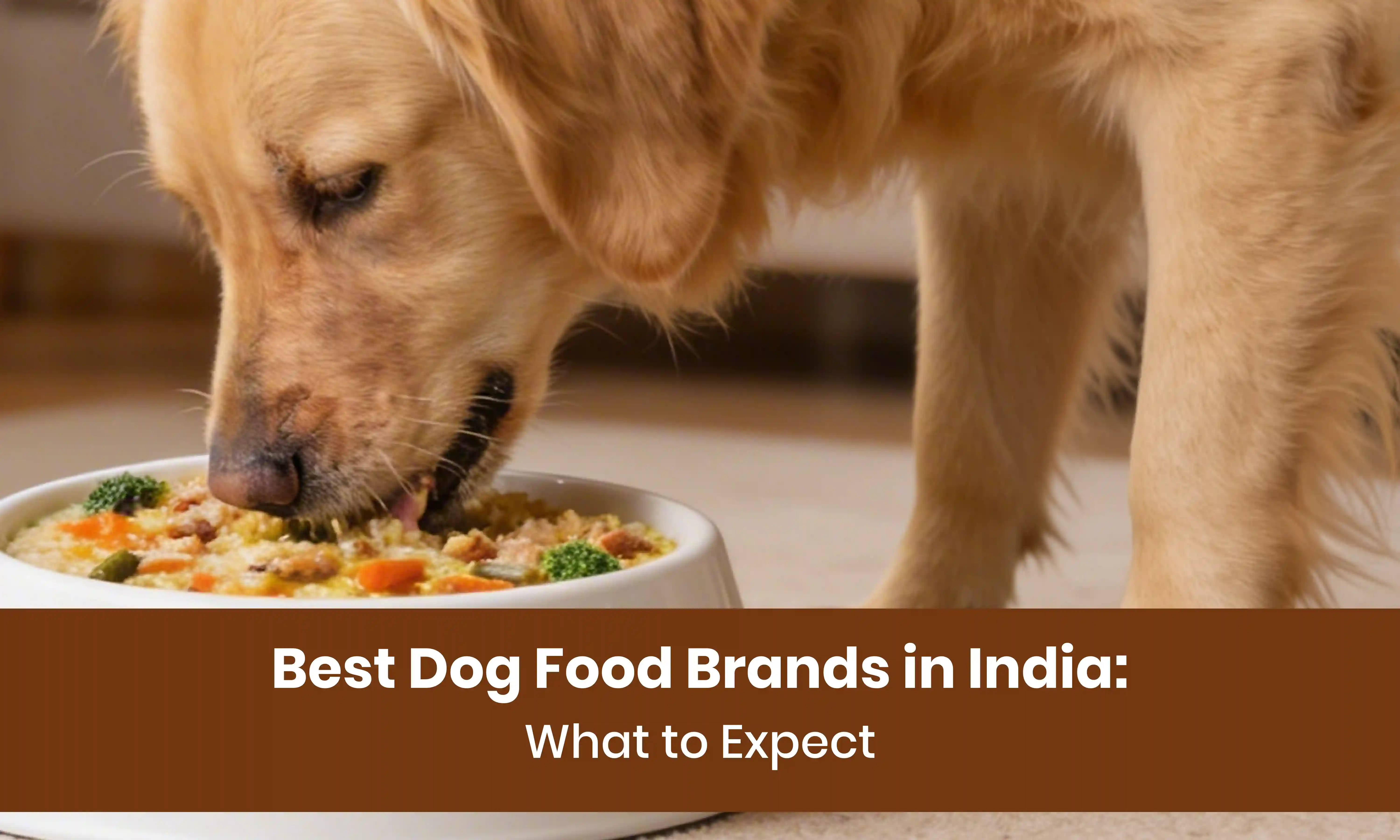  Best dog food brands in India with different dog food options
