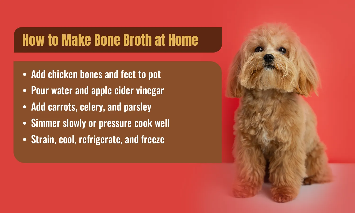 How to Make Bone Broth at Home
