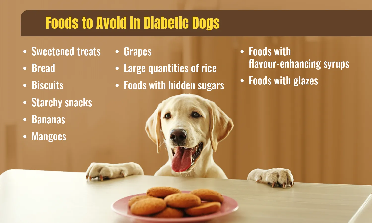 Foods to Avoid in Diabetic Dogs