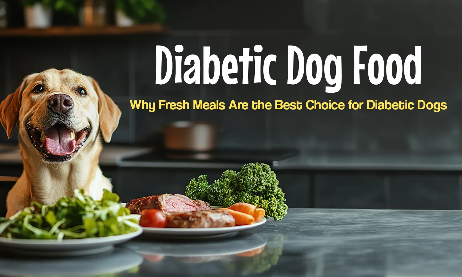 Diabetic Dog Food: Why Fresh Meals Are the Best Choice for Diabetic Dogs