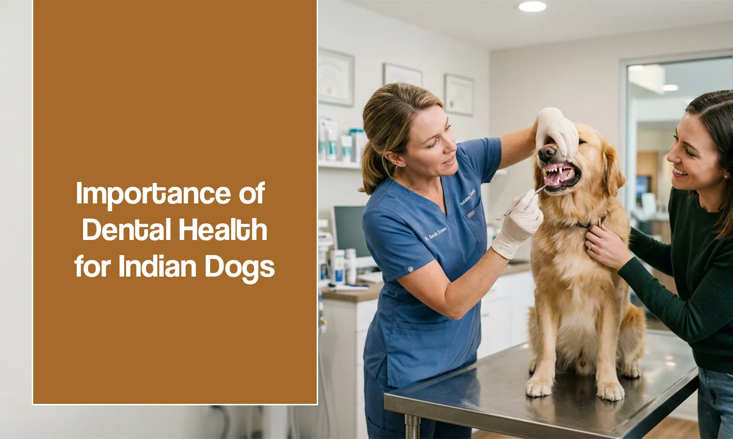 Dental Health