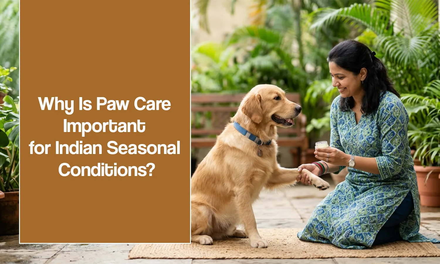 Paw Care