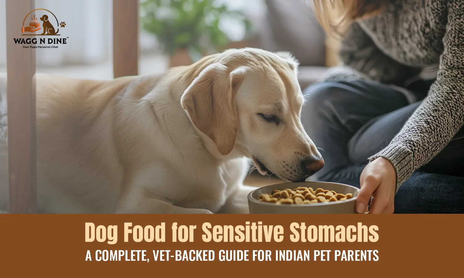 Dog Food for Sensitive Stomachs: A Complete, Vet-Backed Guide for Indian Pet Parents