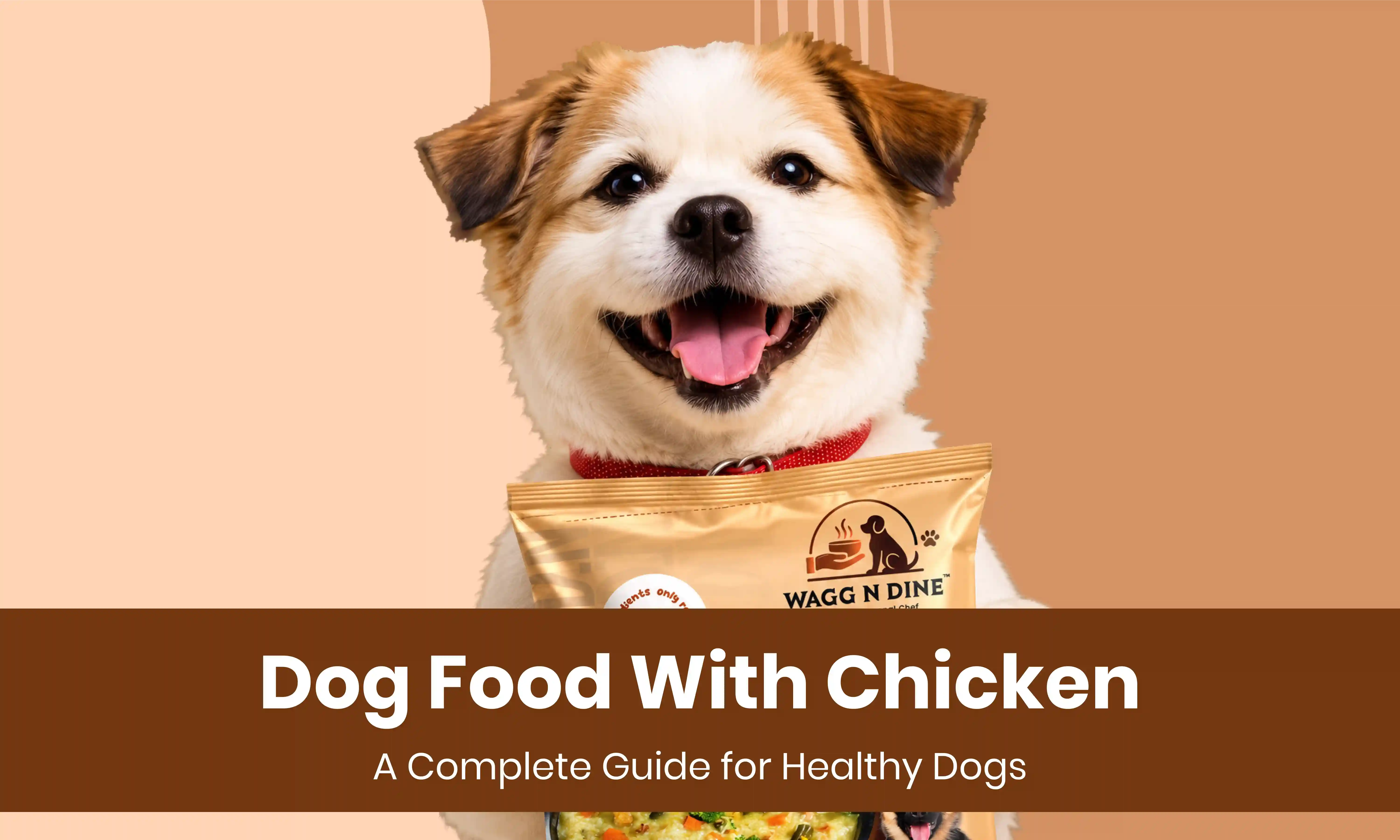 Dog Food With Chicken: A Complete Guide for Healthy Dogs