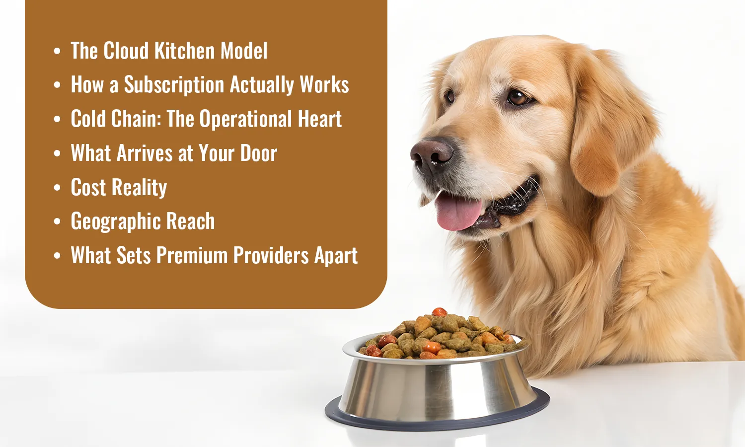 Fresh Dog Food Delivery in India: How Subscription Pet Meals Actually Work
