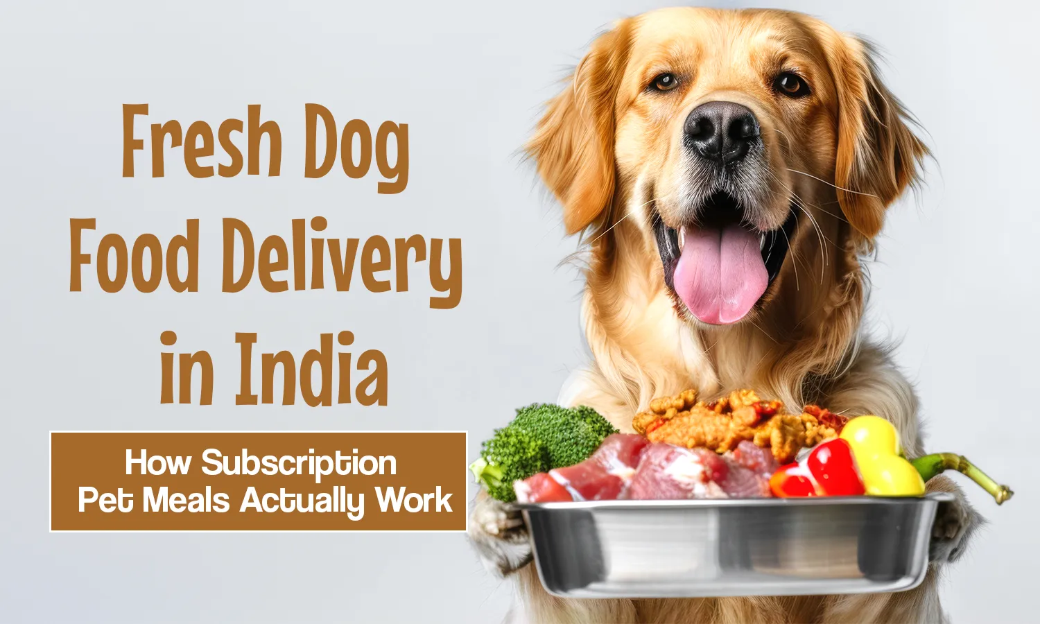 Fresh Dog Food Delivery in India: How Subscription Pet Meals Actually Work