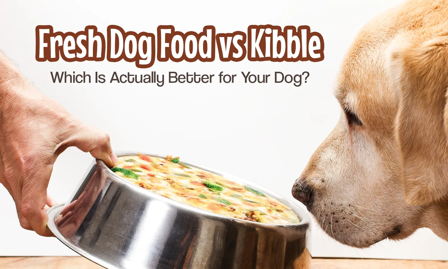 Fresh Dog Food vs Kibble: Which Is Actually Better for Your Dog?