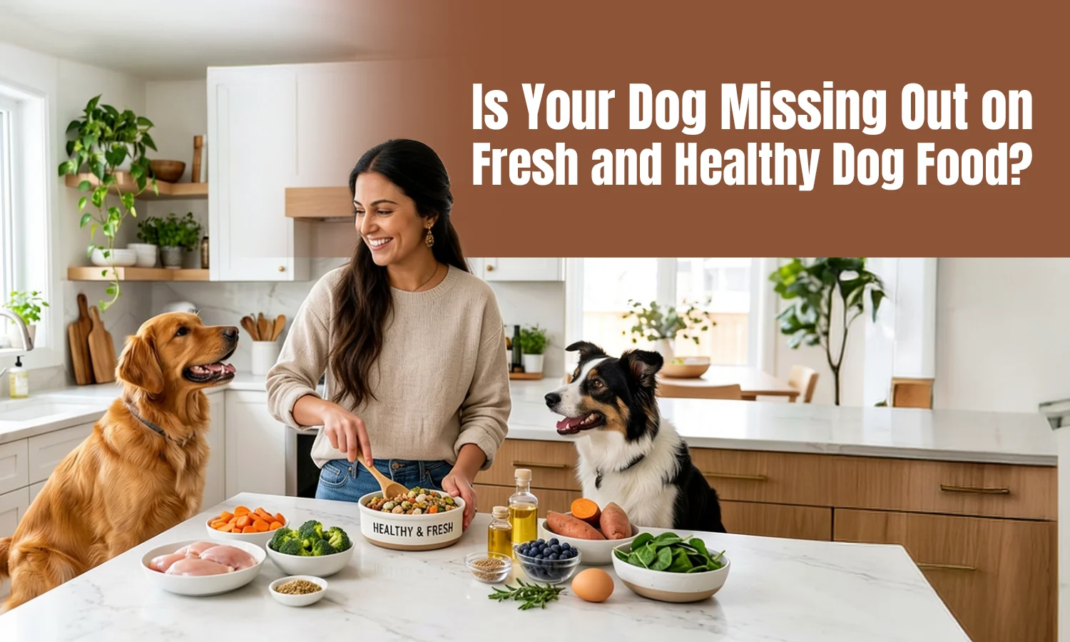 Is Your Dog Missing Out on Fresh and Healthy Dog Food?