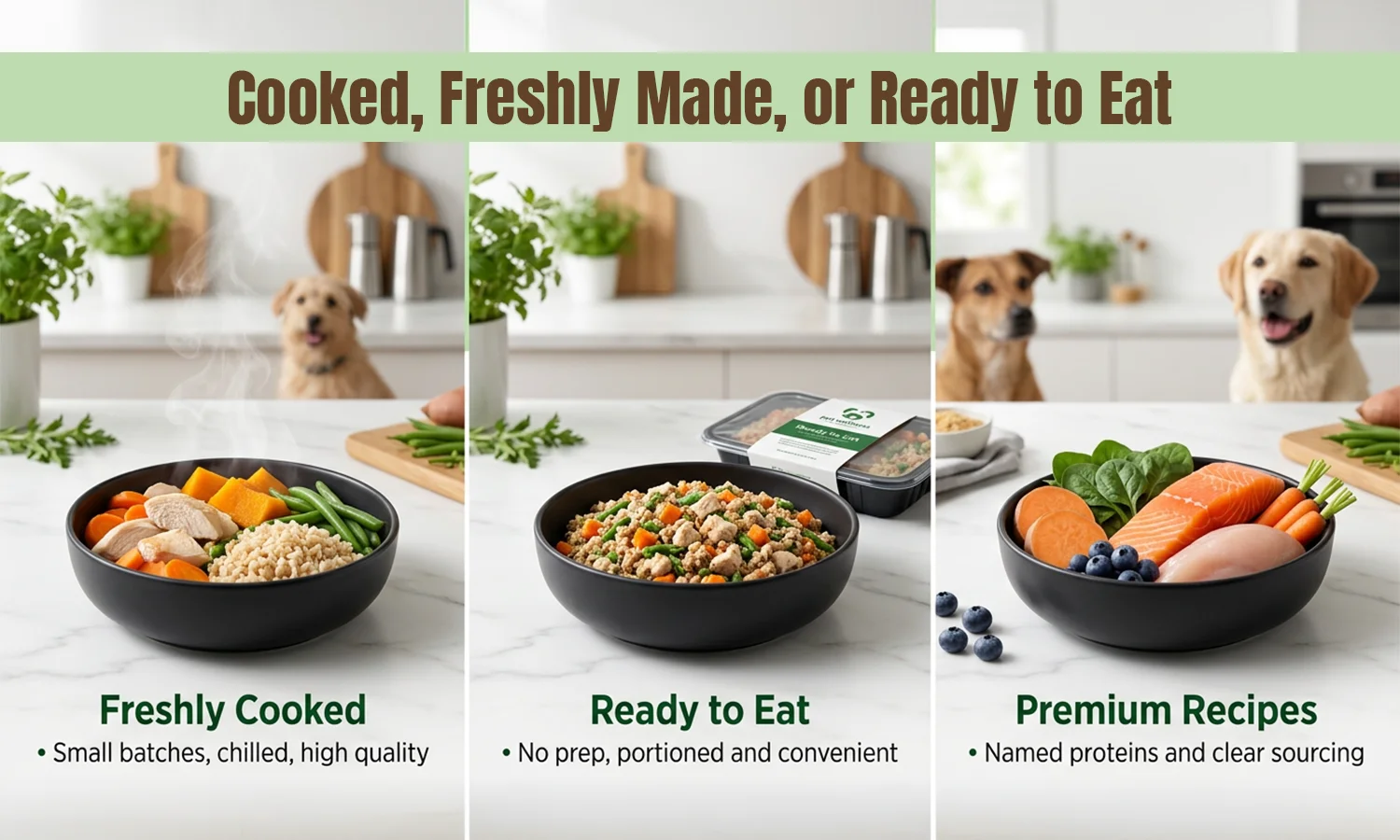 Freshly cooked, ready-to-eat, and premium dog food recipes for different needs