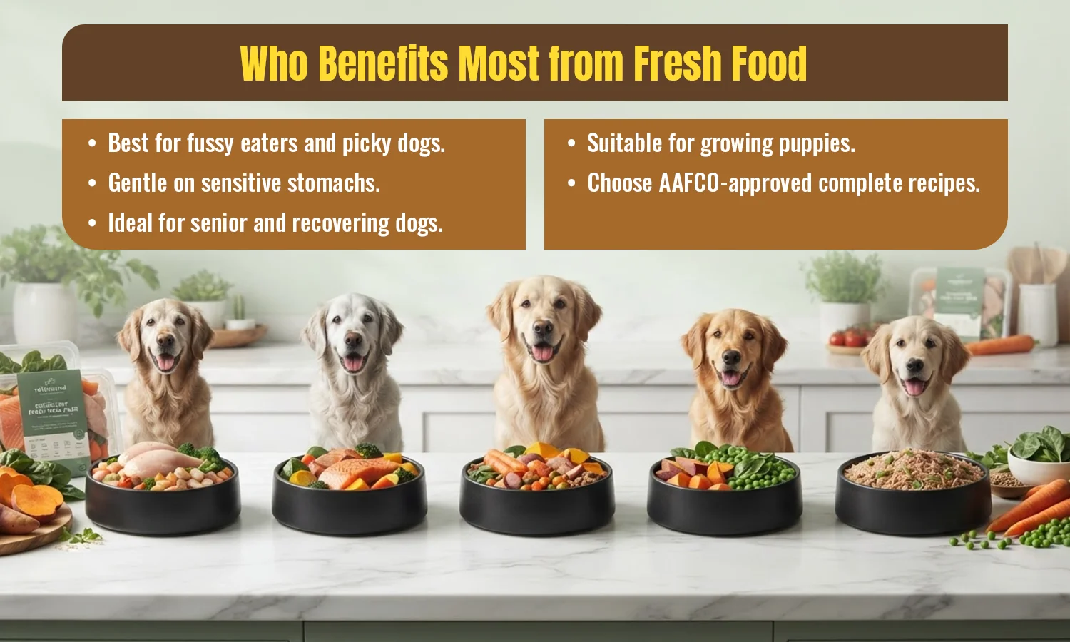 Dogs that may benefit from fresh food including picky eaters, seniors, puppies, and sensitive dogs