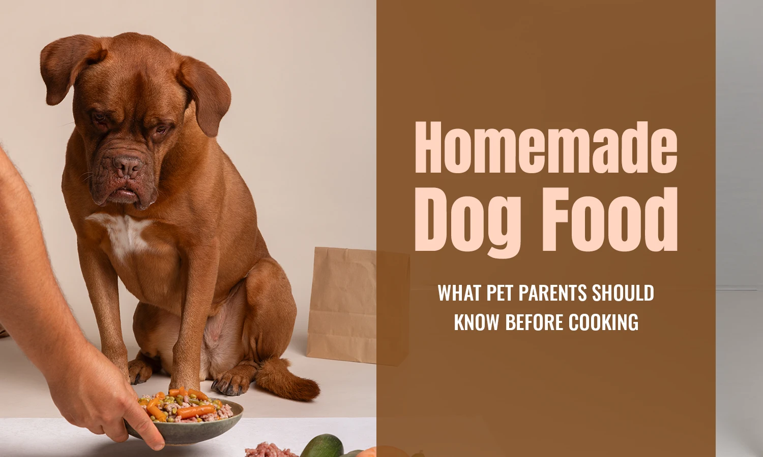 Organic Dog Food: Separating Real Claims From Marketing