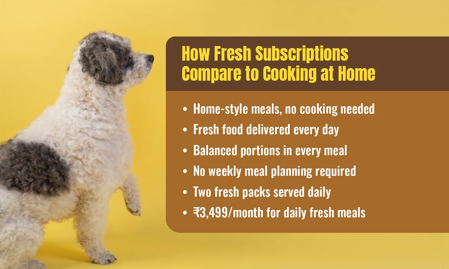 Fresh dog food subscription compared with cooking at home, featuring balanced portions and daily delivery