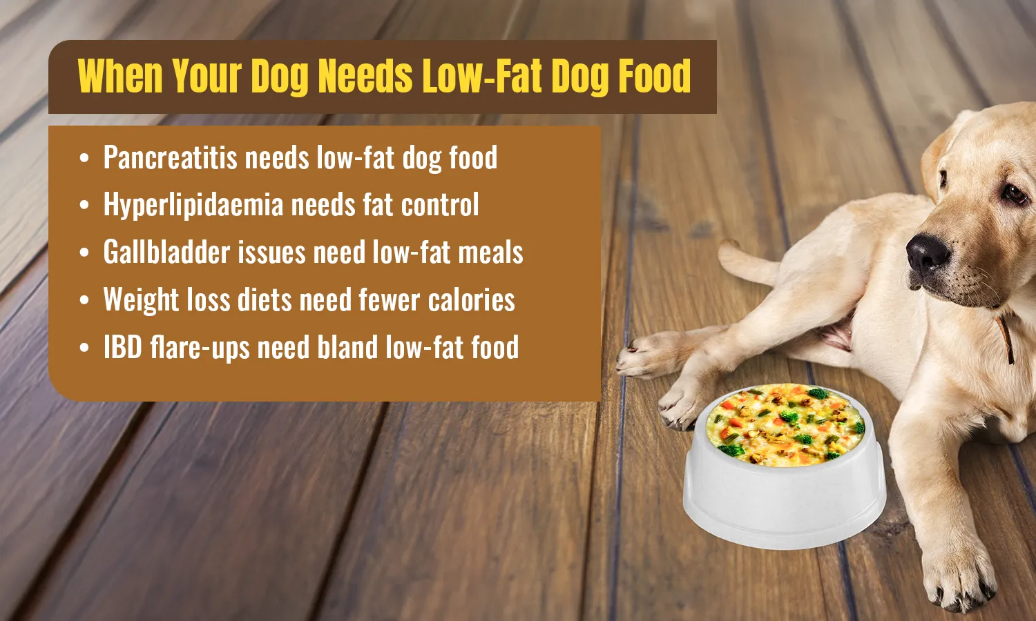 When Your Dog Needs Low-Fat Dog Food