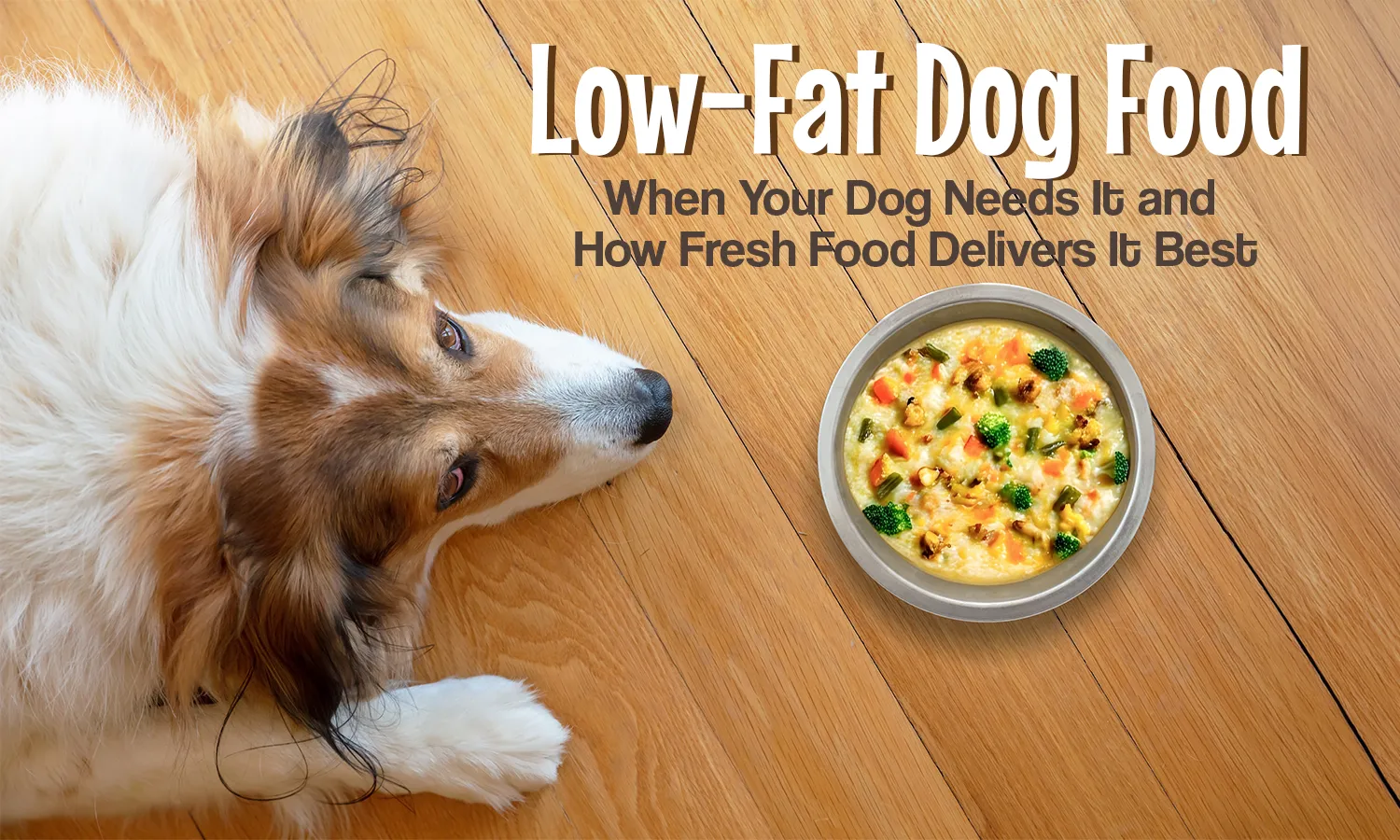 Low-Fat Dog Food: When Your Dog Needs It and How Fresh Food Delivers It Best