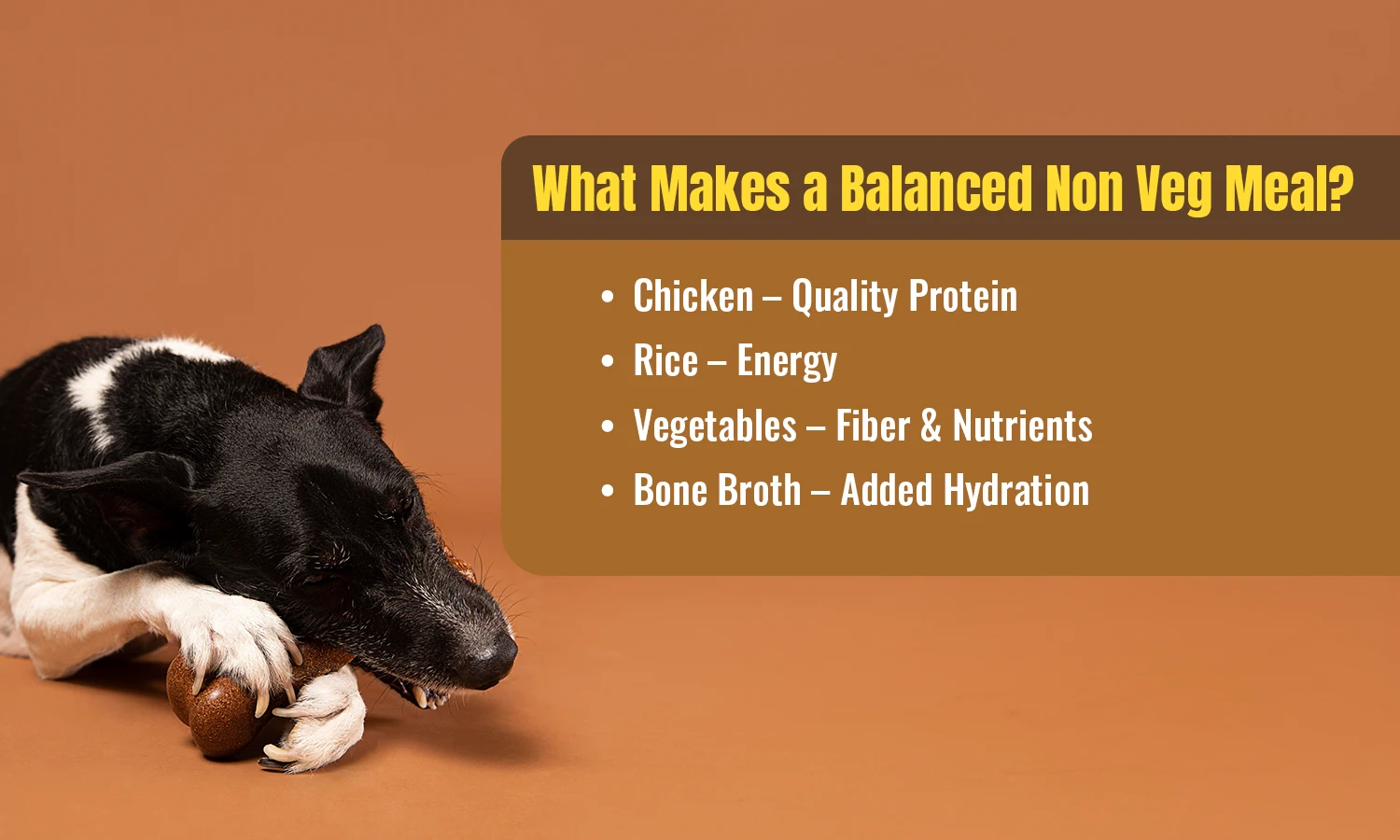 Balanced non veg dog meal with chicken, rice, vegetables, and bone broth.