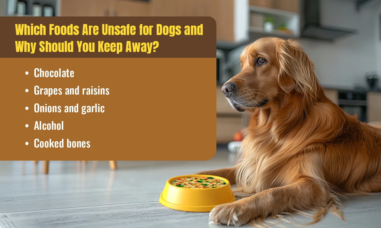 Food list that are unsafe for dogs