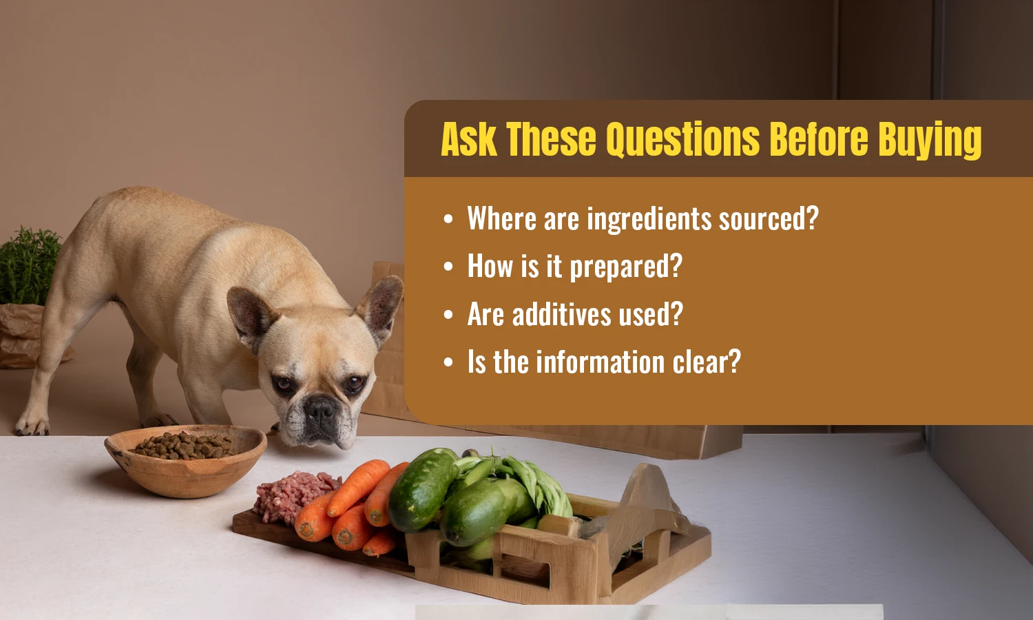 Questions to ask before buying organic dog food about sourcing and ingredient quality