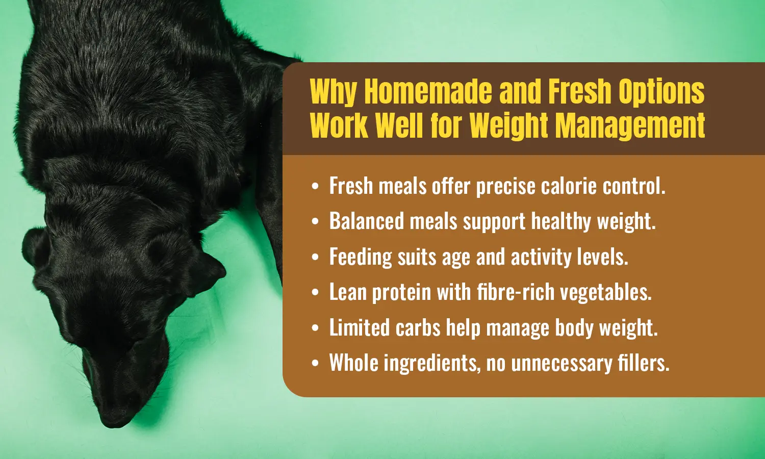 Homemade and fresh dog food options for weight management with lean protein, fibre, and controlled calories