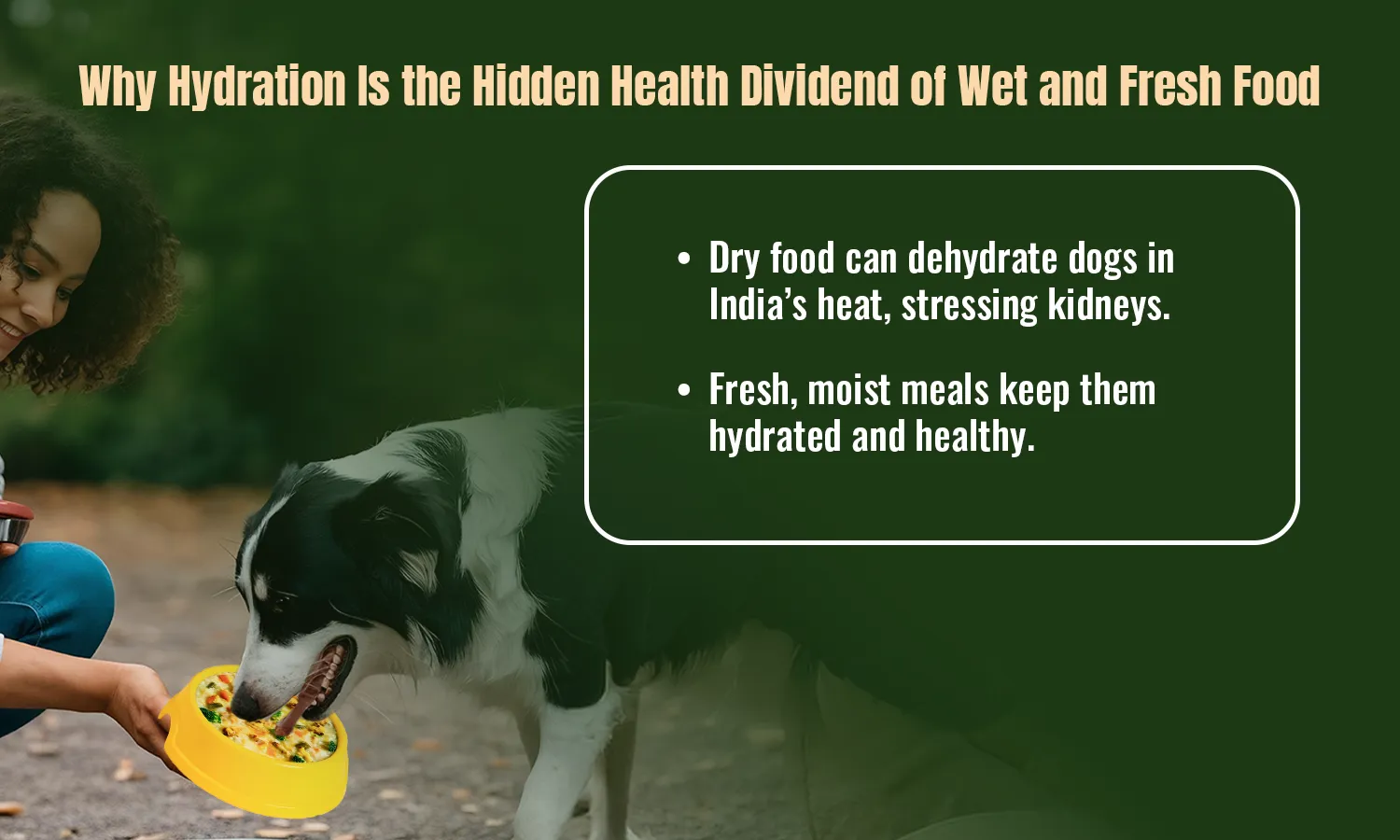 Why Hydration Is the Hidden Health Dividend of Wet and Fresh Food