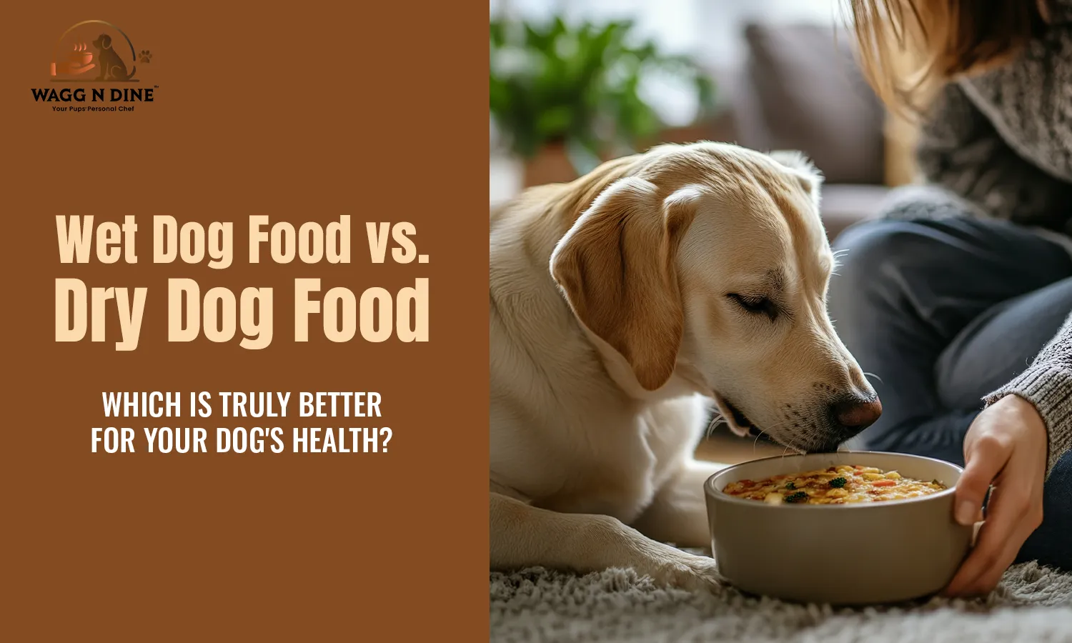 Wet Dog Food vs. Dry Dog Food: Which Is Truly Better for Your Dog's Health?
