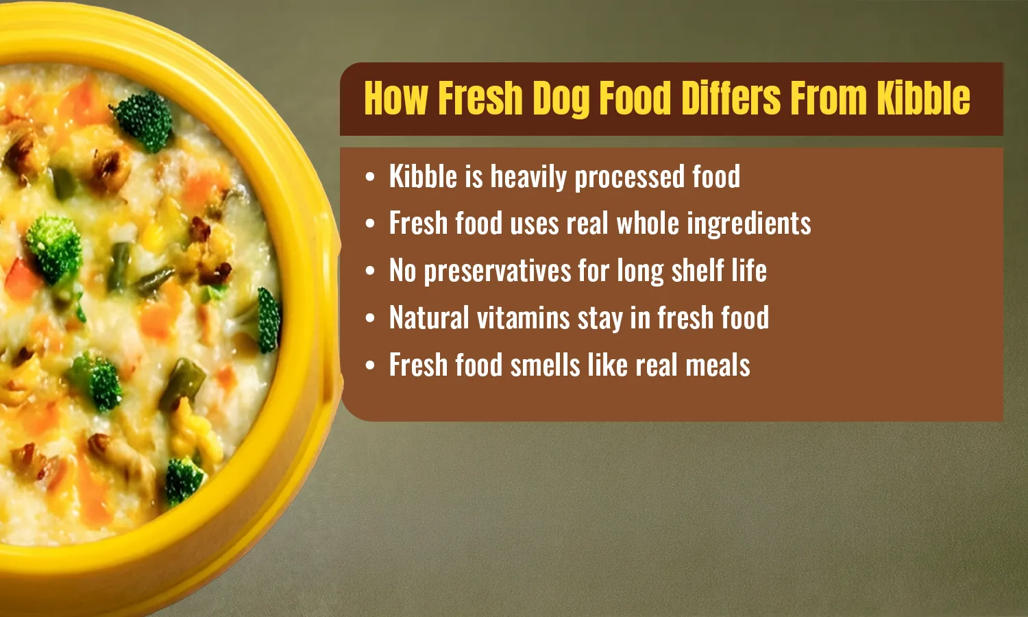 How Fresh Dog Food Differs From Kibble