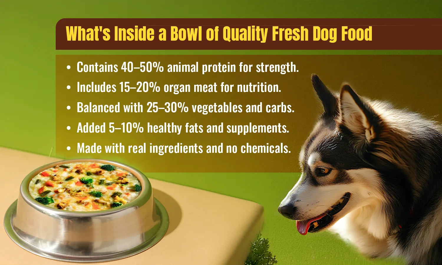 What's Inside a Bowl of Quality Fresh Dog Food