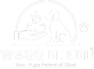 Footer Dog